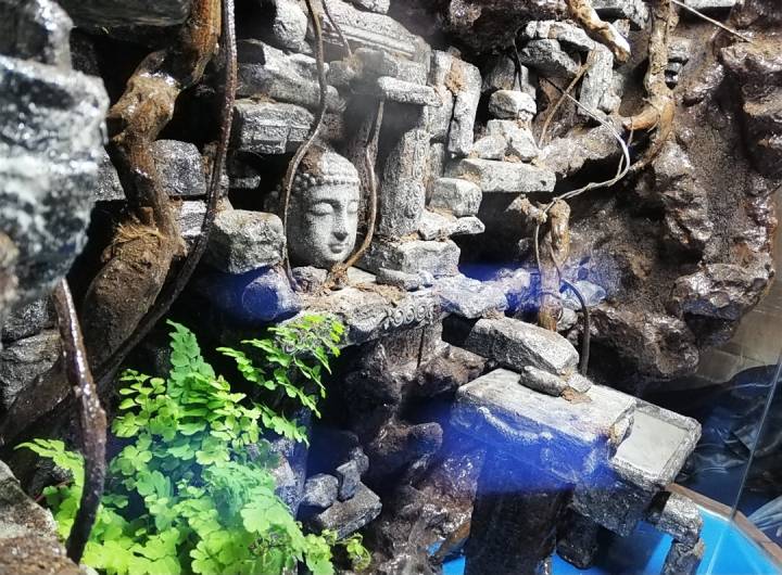 Ge Sluis: Paludarium mit Epoxidharz